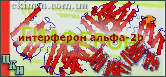 интерферон альфа-2b не вызывает побочных эффектов Рекомбинантный интерферон альфа-2b человеческий - белок, полученный посредством рекомбинантной ДНК