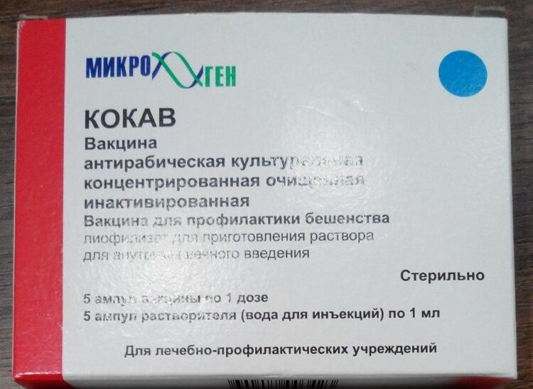Прививка от бешенства 1 доза