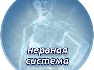 Лечение нервной системы