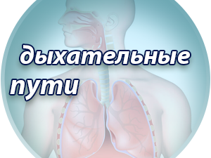 Лечение дыхательных путей