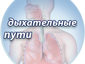 Лечение ЛОР органов