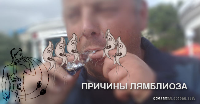 Где находятся лмблии - паразиты