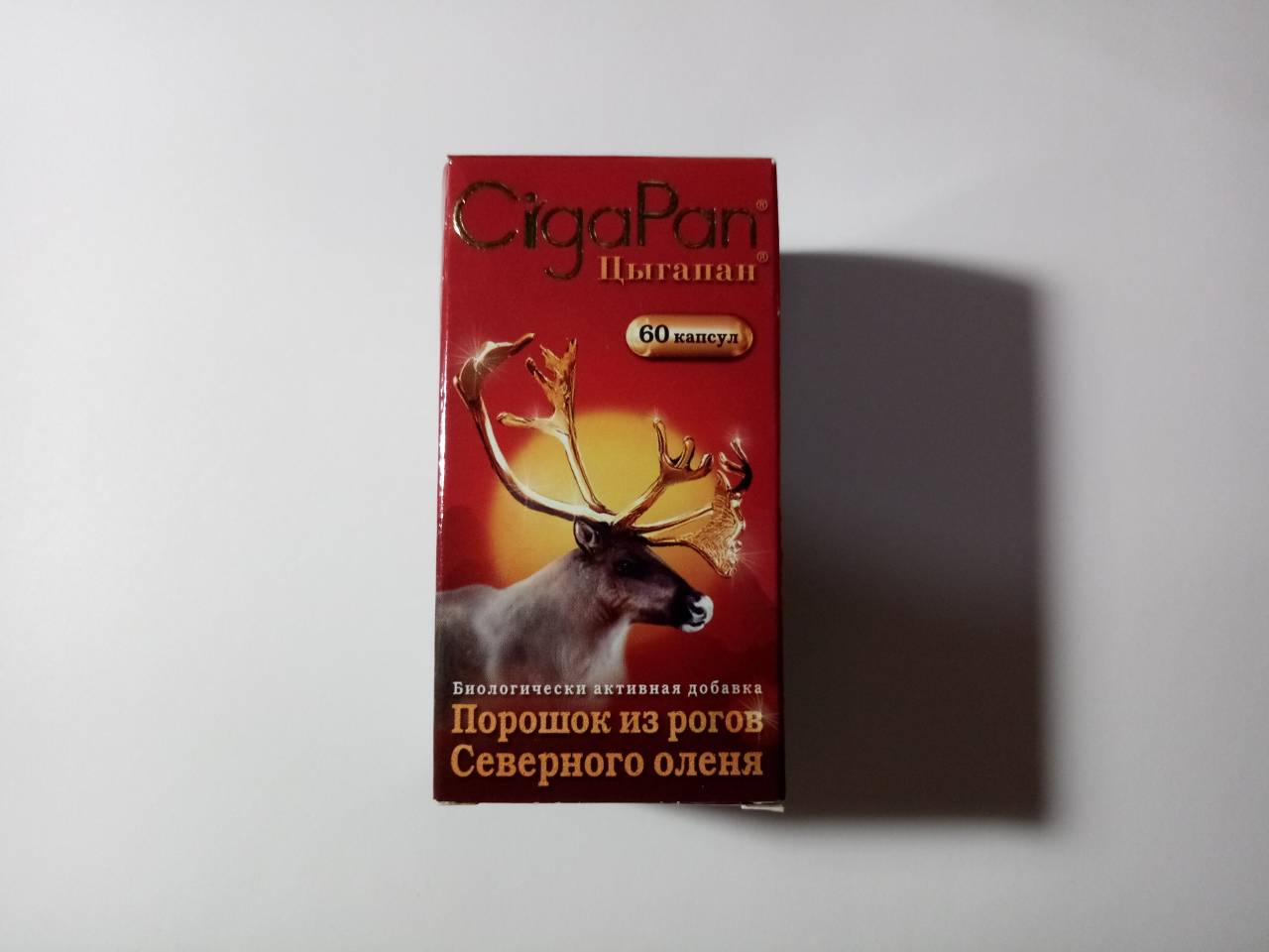 Ципаган
