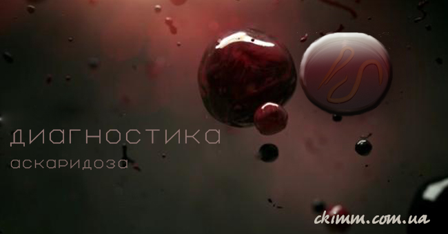 Диагностика аскарид человеческих