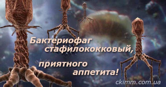 Стафилококковая инфекция в наше время