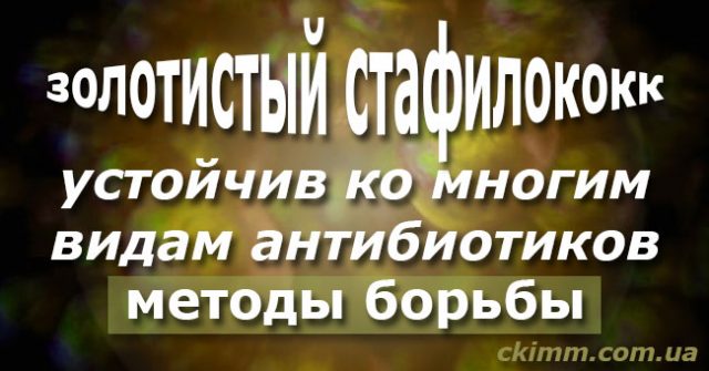 Лечение золотистого стафилококка бактериофагами