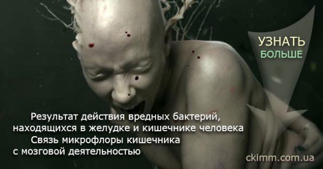 Исследование влияния микрофлоры кишечника на мозговую деятельность человека