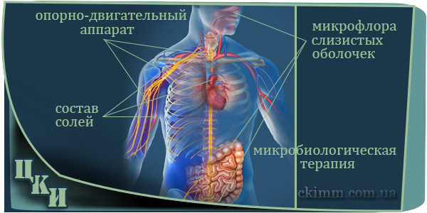 Коррекция иммунитета человека