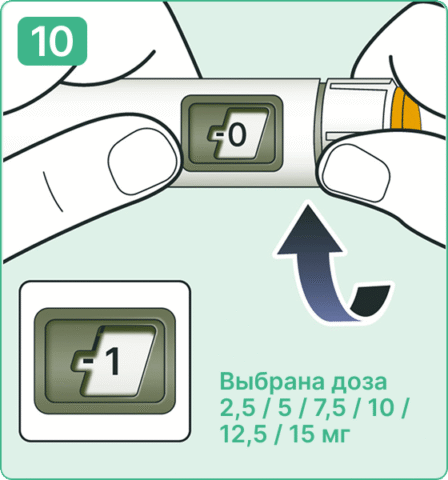 Седжаро, руководство по использованию