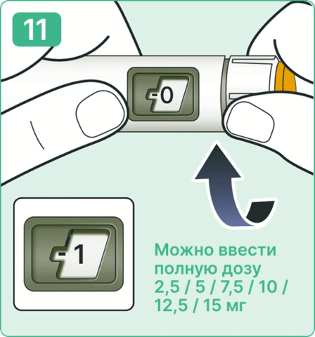 Седжаро, руководство по использованию