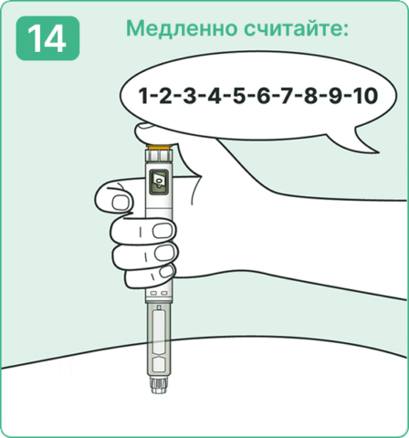 Седжаро, руководство по использованию